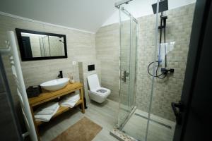 y baño con aseo, lavabo y ducha. en Golden House Banffy en Topliţa