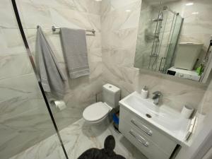 uma casa de banho com um WC, um lavatório e um chuveiro em Jaukūs apartamentai em Telsiai