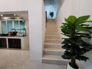 a staircase with a potted plant in a room at Boxsoon Nimman 3 # 4beds 4baths in Chiang Mai
