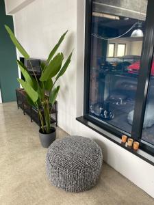 een poef naast een raam met een plant bij Wohnung mit besonderem Ausblick in Pfaffenhausen