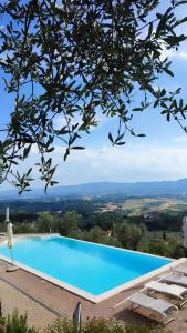 a large swimming pool with chairs and a tree at Agriturismo Cafaggio Primo in Loro Ciuffenna