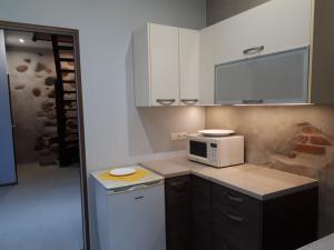 uma pequena cozinha com um micro-ondas e um frigorífico em Brīvdienu Māja Brenguļos em Myza Brenguli