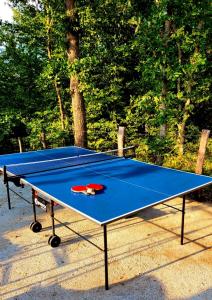 una mesa de ping pong azul en un parque en Idiličan brijeg, en Višegrad