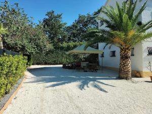 a patio with a palm tree and a table and umbrella at villa marcella casa vacanza in Grottazzolina
