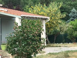 Vonkajšia záhrada v ubytovaní Le gîte des Pins (meublé de tourisme 3 Étoiles) + 3 fotografie