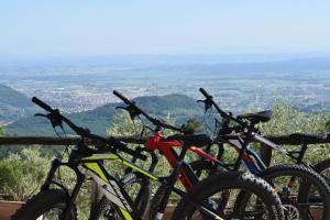 a group of bikes parked on top of a mountain at Agriturismo Menghino in Nievole