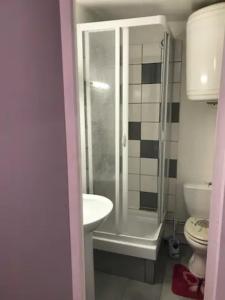 a bathroom with a shower and a sink and a toilet at Studio le treport in Le Tréport