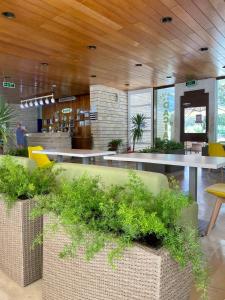 Fotografie z fotogalerie ubytování Hotel Dacia v destinaci Neptun