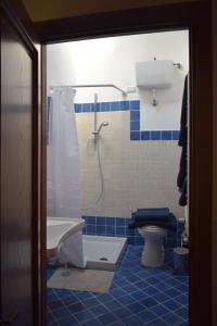 a bathroom with a shower and a toilet and a sink at Agriturismo Menghino in Nievole