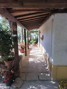 Fotografie z fotogalerie ubytování villa marcella casa vacanza v destinaci Grottazzolina