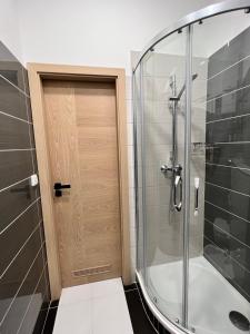 La salle de bains est pourvue d'une douche et d'une porte en verre. dans l'établissement PRAGUE’s HIDDEN PEARL, à Prague
