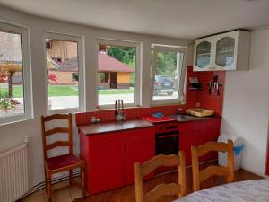 a kitchen with red cabinets and a red stove at Green Eden Lepsa 2 in Lepşa