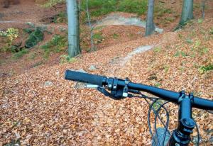 Jazda na bicykli v okolí ubytovania Apartman BALA