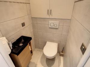małą łazienkę z toaletą i umywalką w obiekcie Beautiful 1 bedroom with garden on the Croisette 254 w Cannes +5 zdjęć