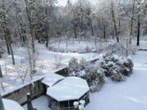 vistas a un patio cubierto de nieve con árboles en Rittergut Schloss Niederforchheim, en Forchheim
