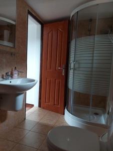 a bathroom with a shower and a toilet and a sink at Green Eden Lepsa 2 in Lepşa