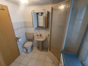 a bathroom with a toilet and a sink and a shower at Ferienwohnung zur Kühlung in Wittenbeck