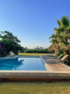 una piscina con sillas y una palmera en Villa Di Mare Bodrum, en Bodrum City