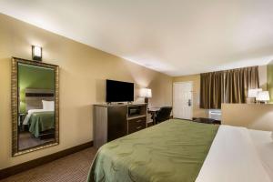 Postel nebo postele na pokoji v ubytování Quality Inn & Suites Garland - East Dallas
