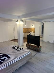 een witte kamer met een bed en een flatscreen-tv bij Vila Alga in Sulina