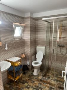 a bathroom with a toilet and a shower and a sink at Vila Alga in Sulina
