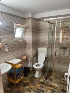 Un baño con inodoro, ducha y lavabo. en Vila Alga, en Sulina 110 fotos más
