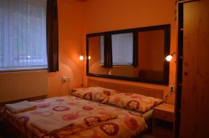 um quarto com uma cama e um espelho grande em Penzion54 & Restaurace em Ostrov