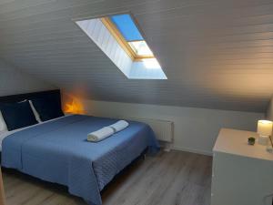 a bedroom with a blue bed and a skylight at Apartments MILENA in Druskininkai