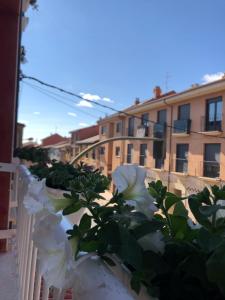 valla blanca con flores blancas en el balcón en Hostal San Juan en Sahagún