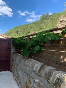 Una cerca con un montón de plantas verdes. en Petit coin de paradis, en Vals-les-Bains