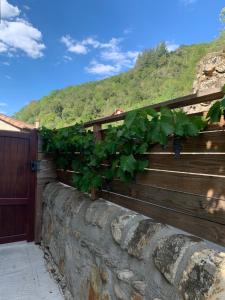 Nespecifikovaný výhled na hory nebo výhled na hory při pohledu z bed and breakfast