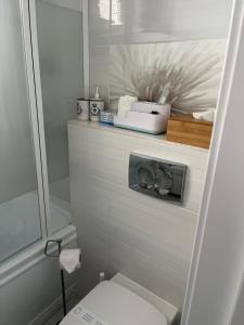 y baño pequeño con aseo y ducha. en Alma apartments en Suceava