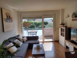 TV a/nebo společenská místnost v ubytování Encantador Apartamento familiar 4 px con Terraza, Parking y Wi-fi en Llançà