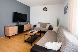 salon z kanapą i telewizorem w obiekcie Venite apartments w mieście Velika