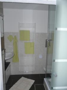 y baño con ducha, lavabo y aseo. en Für Ihren Urlaub 2024 Fremdenzimmer-Appartement Eurasburg im Loisachtal - Tölzer Land, en Eurasburg