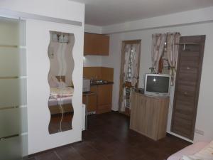 Zimmer mit einem kleinen TV und einer Küche in der Unterkunft Fremdenzimmer-Appartemnt Eurasburg im Loisachtal in Eurasburg