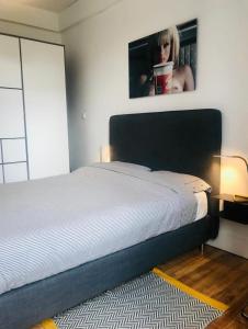 Postel nebo postele na pokoji v ubytování Very charming luminous T2 Annecy center