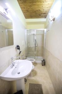y baño con lavabo, ducha y aseo. en Dimora dei Greci 1, en Paestum