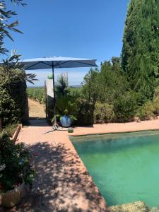 a swimming pool with an umbrella next to a house at L’EPICURE „Grenache“ im Herzen des Weines in Vacqueyras