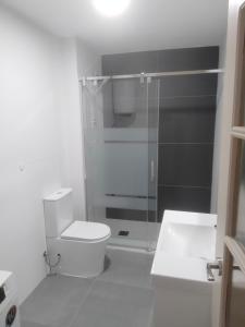 a bathroom with a toilet and a glass shower at City Centre apartments in Denia +24 photos