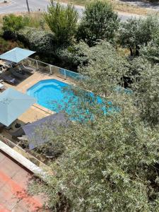 - une vue sur la piscine bordée de parasols et d'arbres dans l'établissement Kyriad Aix Les Milles - Plan de Campagne, à Bouc-Bel-Air