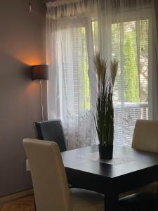 Χώρος καθιστικού στο Silver Snowflake - Apartman sa dvoristem