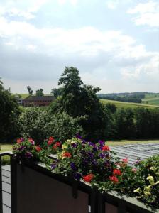 Vonkajšia záhrada v ubytovaní 1A Landhotel Schicklberg
