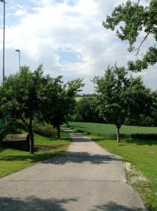 Príroda v okolí hotela