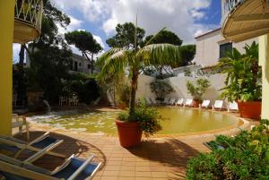 a pool with chairs and a palm tree in a yard at Hotel Europa in Ischia