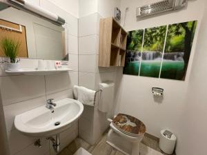 a bathroom with a sink and a toilet with a picture on the wall at Haus Bodenwinkler in Gröbming
