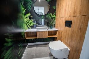 a bathroom with a toilet and a sink and a mirror at Z Widokiem Apartamenty Świerkowe 16 in Szklarska Poręba