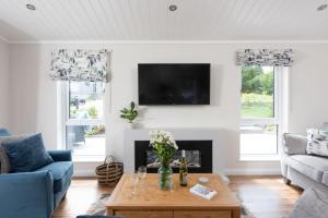 a living room with a fireplace and a tv at Orchid Lodge, 23 Roadford Lake Lodges in Lifton