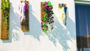 a group of flowers on the side of a wall at Just Dream Suites in Kaş