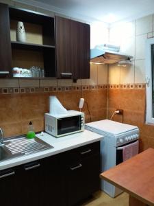 a kitchen with a microwave and a sink at EL Mar Sole in Eforie Sud